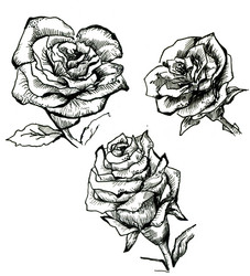 Similar image 5832782