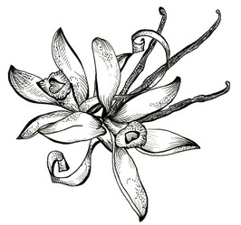 Similar image 5832783