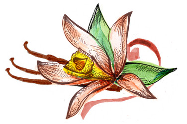 Similar image 5832791