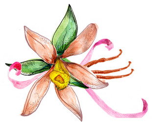 Similar image 5832792