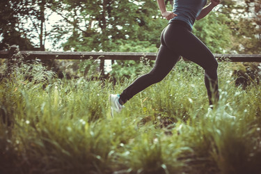 Similar image 5833006