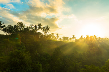 Similar image 5833245