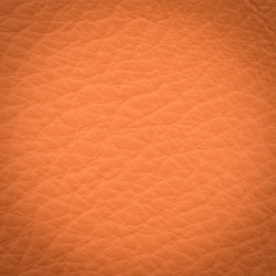 Similar image 5833298