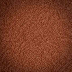 Similar image 5833301