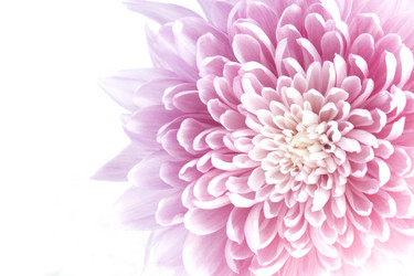 Similar image 5833330