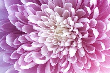 Similar image 5833331