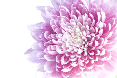 Similar image 5833332