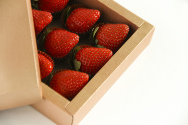 Similar image 5833336