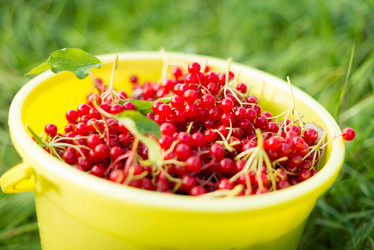 Similar image 5833345