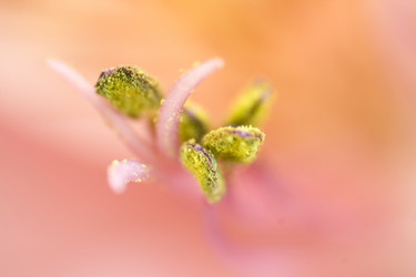 Similar image 5833347