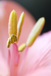 Similar image 5833348