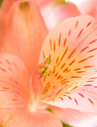 Similar image 5833352