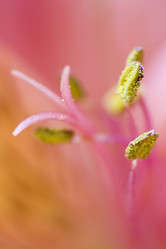 Similar image 5833353