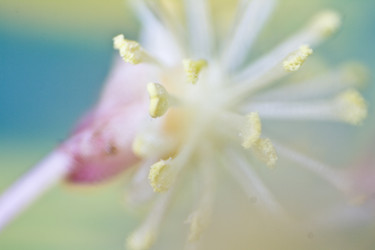 Similar image 5833356