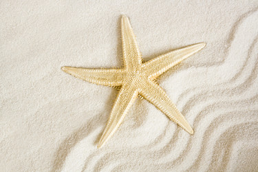 Similar image 5833366