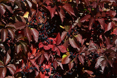 Similar image 5833369