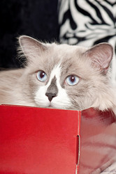 Similar image 5833580