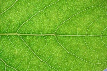 Similar image 5833890