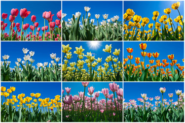 Similar image 5833944