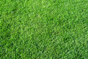 Similar image 5833984