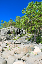 Similar image 5833985