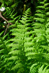 Similar image 5833993