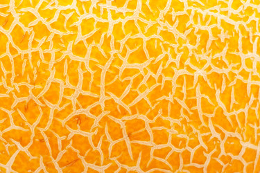 Similar image 5834094