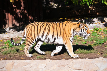 Similar image 5834172