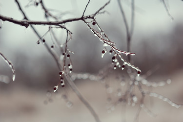 Similar image 5834423