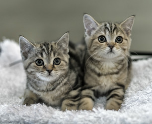 Similar image 5834534