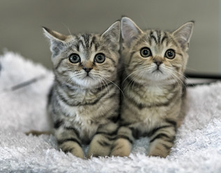 Similar image 5834535