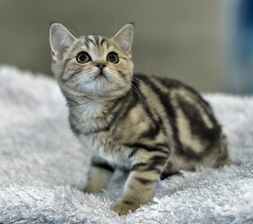 Similar image 5834536