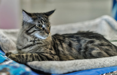 Similar image 5834537