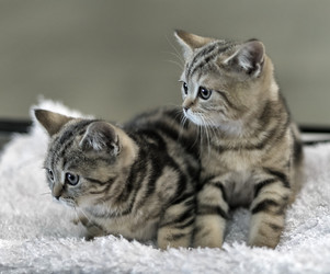 Similar image 5834540