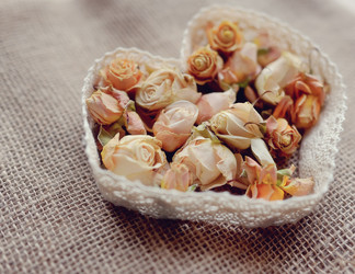 Similar image 5834543