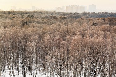 Similar image 5834595