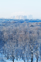 Similar image 5834599