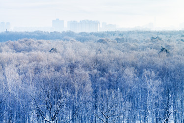 Similar image 5834608