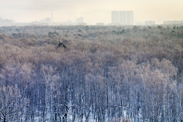 Similar image 5834610