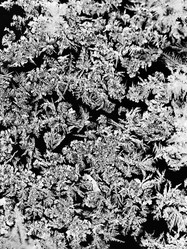 Similar image 5834625