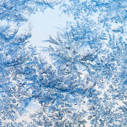 Similar image 5834629