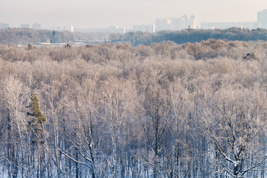 Similar image 5834637