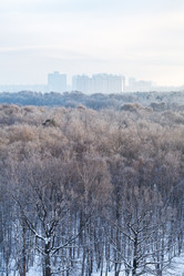 Similar image 5834651