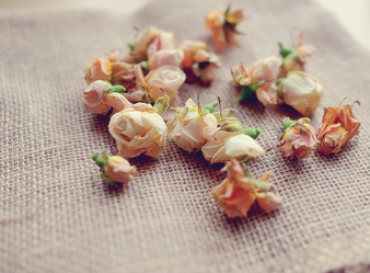 Similar image 5834671