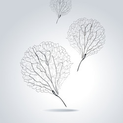 Similar image 5834678