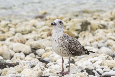 Similar image 5834901