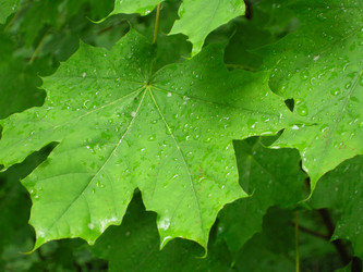 Similar image 5834902