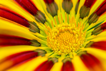 Similar image 5834977