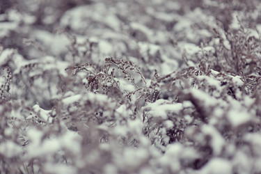 Similar image 5835008