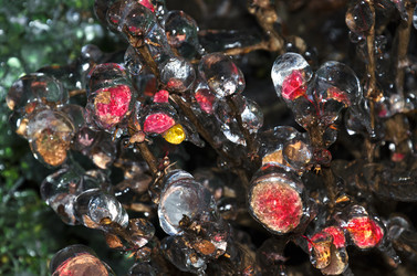 Similar image 5835019